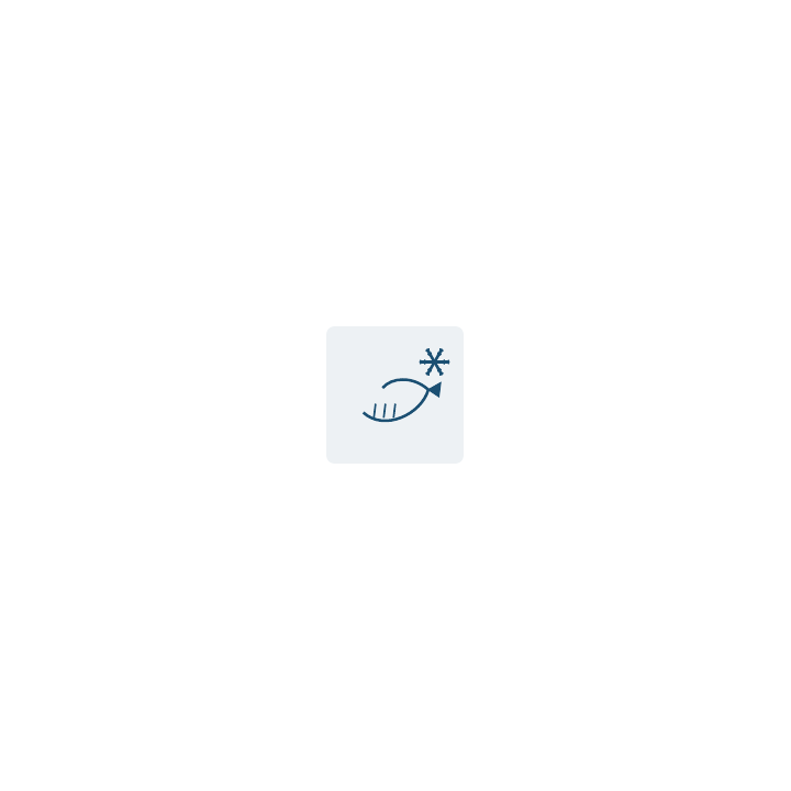 Filet d'omble, Islande, avec peau, 400 gr+ (carton 5kg)